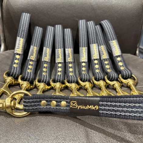 Working Dog Traffic Lead (2)